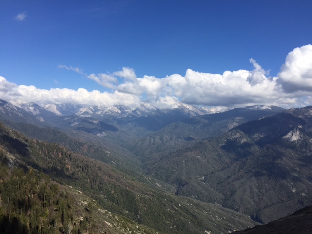 moro rock