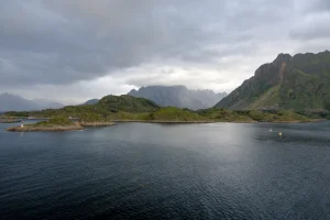 DSC02329