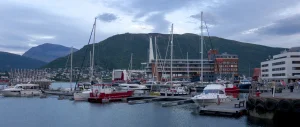 DSC02088
