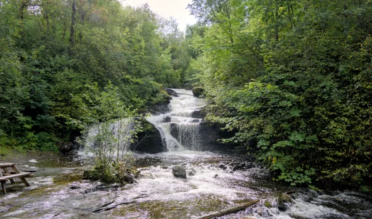 DSC02505