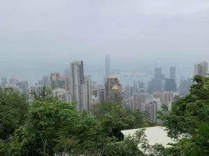 IMG 2790
