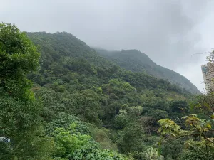 IMG 2787