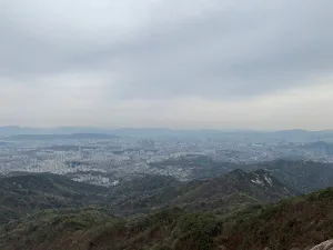 IMG 2822
