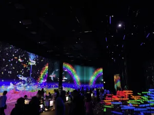 IMG 2536