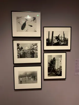 IMG 2602