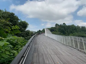 IMG 2617