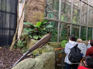 IMG 2672