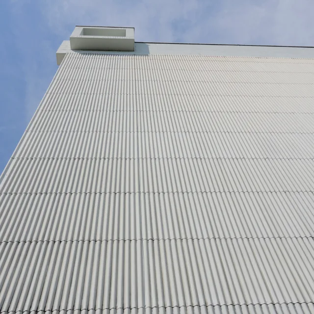 DSC3008