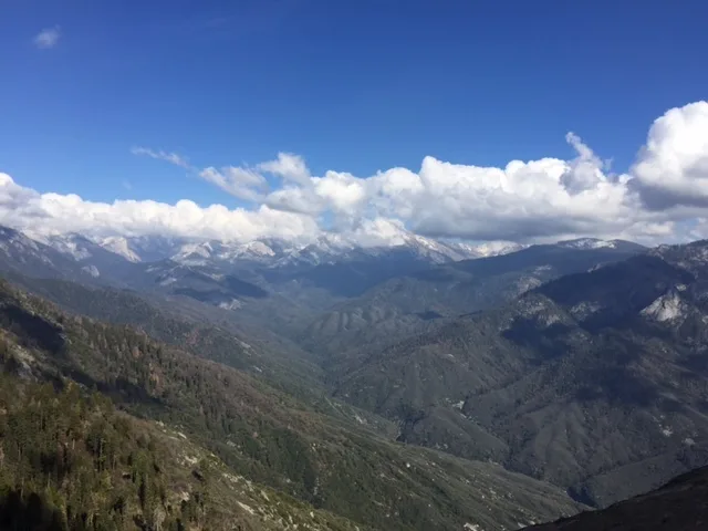Img 2665