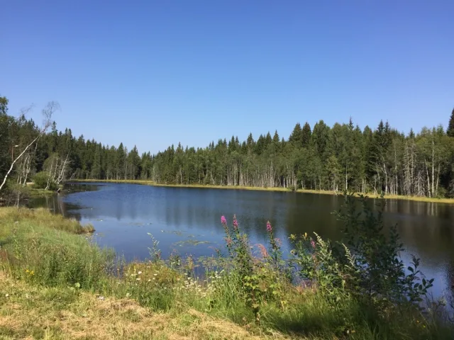 Img 3339