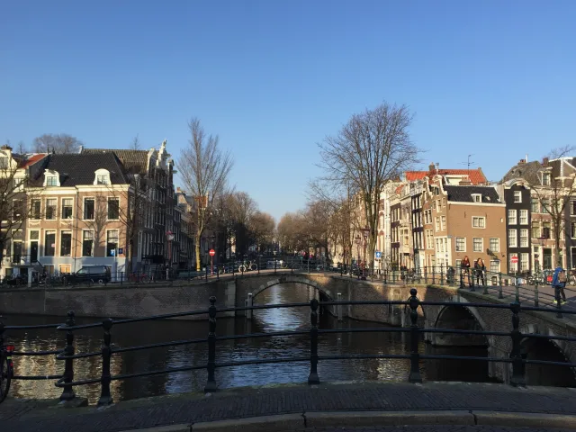 IMG 2534